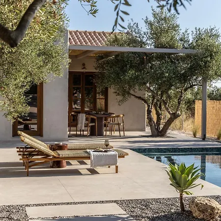 فيلة La Baracca Kardhakáta